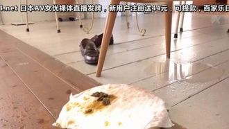 我的第一次大便。平成時代最後的美少女排便。 赤淵蓮