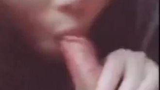 새와 함께 운전하고 놀기