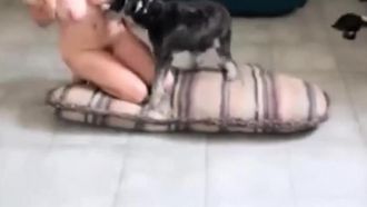 k9.zoophiliaブロンドがリビングルームの床で背の低い犬に犯される