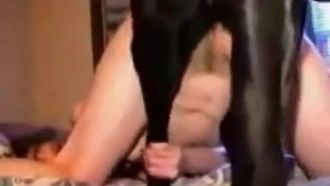 大黑狗去球在一個準備好的微小的雙排扣的辣妹深不可測