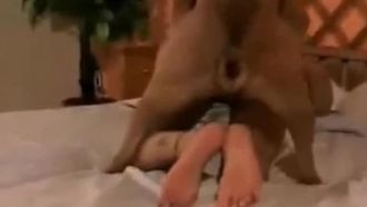 大戰利品狗在瘋狂的xnxx家庭色情