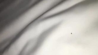 第一視角爆插黑絲淫蕩熟女無套內射特寫流精不止
