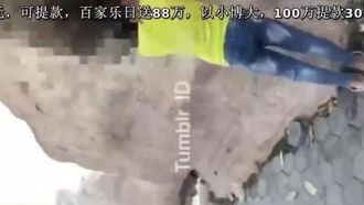 干遍街头台湾野炮王实录