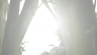 우양지위에2