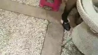 老哥劇情演繹朋友介紹髮廊小妹按摩加600要求啪啪，口交後入按摩床上猛操很是誘惑喜歡不要錯過