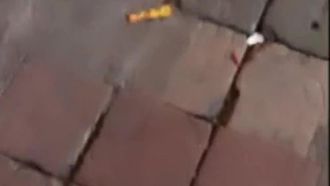 [中文主播外流]视讯直播示范情趣用品怎么进入体内让人寻找G点爽到高潮
