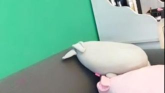 小姐姐平台極品禦姐美女主播0327直播秀 捆綁繩藝 高顏值漂亮木耳很誘人