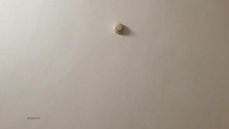 昼休みに美人の同僚と部屋でセックスしたら、同僚の笑顔がエロくてたまりませんでした。