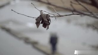青春期的男孩性慾就是旺盛尤其是絲襪漂亮美女老師受不了一直硬啊《課外輔導老師的秘密》激情佳作 多次操
