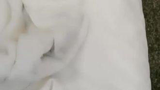 高顏值女大學生賺零用錢，與糖爹酒店啪啪開直播~