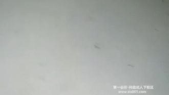 一起來做愛情摩天輪~為了賺流量直播主們手段盡出，特地到遊樂園的摩天輪啪啪～