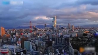 樂播傳媒蜜桃成熟之兄妹蕉談-董小宛