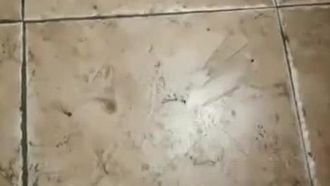 苗条小姐姐寻刺激，到公厕里拿按摩棒塞穴穴直播，嘴里还塞著内裤怕忍不住呻吟~