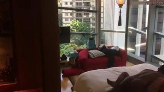 隣の黒人男性の太くて長いチンポが激しく突き上げられ台湾人妻に送られる