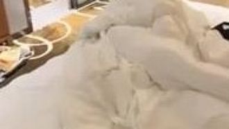 1人の男性と3人の女性が殴り合いの喧嘩をし、ほぼ終わるまで服を脱ぎ、その後3Pでお互いをセックスし始め、見知らぬ女の子たちも同じことをしました。
