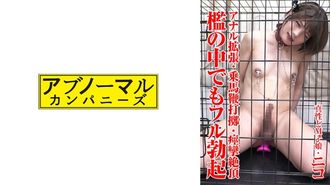 481SACZ-431 니코 1