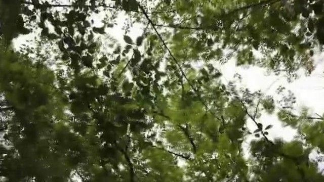 她看起來很酷，但天真且少女，她想更喜歡性，所以她與伊藤小岩一起首次亮相 AV。