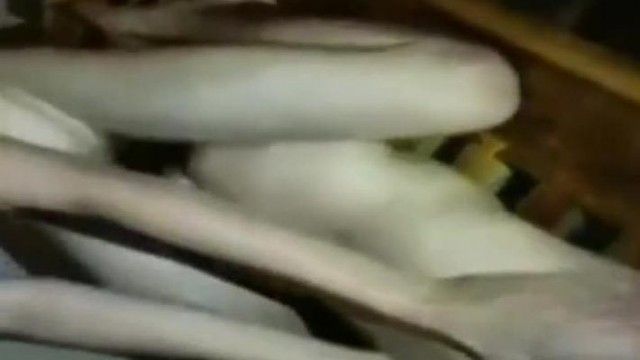【ネットスキャンダル】台北で女性9人、男性19人によるクレイジーなハイブリッドパーティーの動画が流出、男性主人公は大喜び
