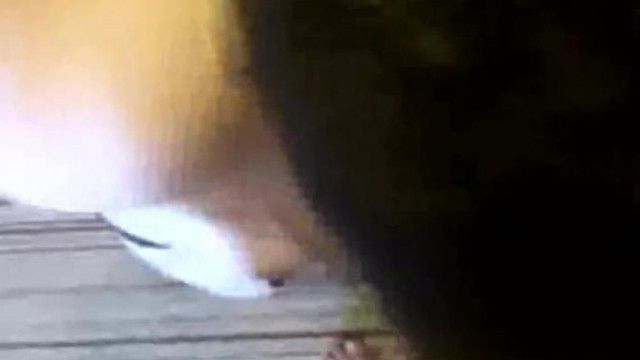 大奶母狗1