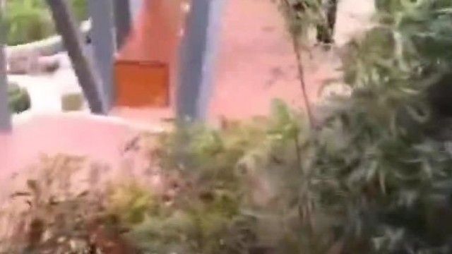 Naked in the car, chatting up passers-by to ask for directions, boldly exposing herself to a scenic garden area in a public place, and playing flute to the director
