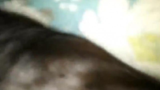 同僚女性の夫が出張中、彼女の家に行って情熱的なセックスをした。