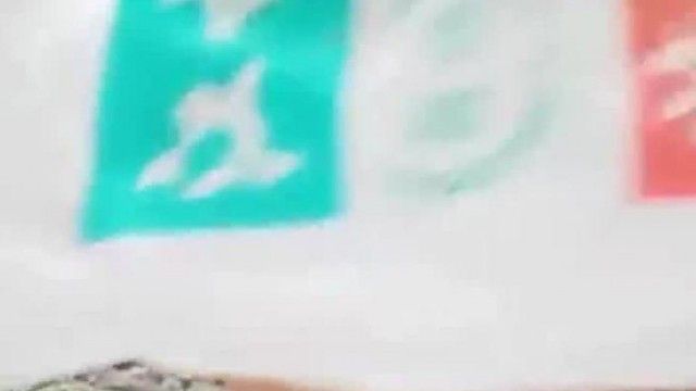 妹子野外自慰插完菊花插逼