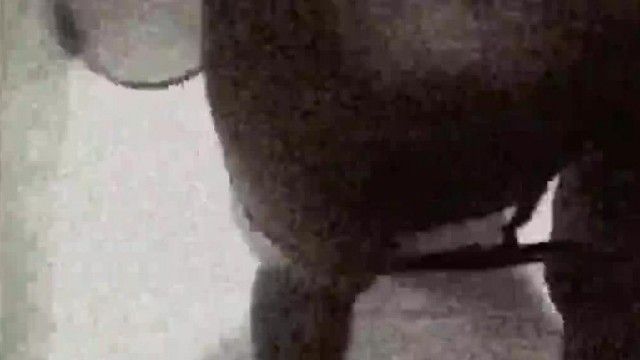Tumblr의 유명한 성노예 테무에르 공주의 섹시한 섹스 컬렉션. 다양한 장면과 포즈를 갖춘 고화질 720P 풀 버전.