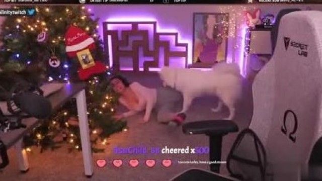 [Europe and the United States] The hot girl’s live broadcast host failed to cheat~ The dog couldn’t bear it and wanted to have sex with her!!
