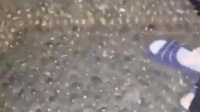 双平台直播?! 缺钱的女警沦落到上性爱直播台求抖内~野战3P都不怕!!