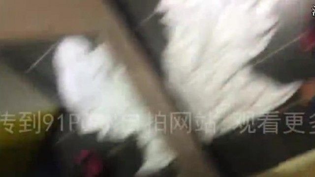 93年少妇丝袜高跟做爱
