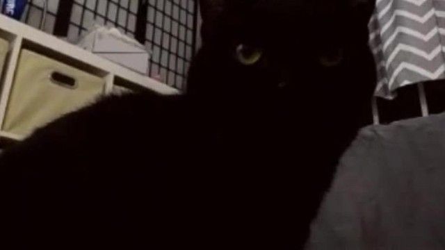 [欧美狂视讯!]性观念开放 主播都是无毛鲍动作激烈各种浪 64