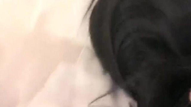 漂亮一字马新人主播弟弟y1027收费骚舞自慰洗澡秀清纯漂亮很是诱人