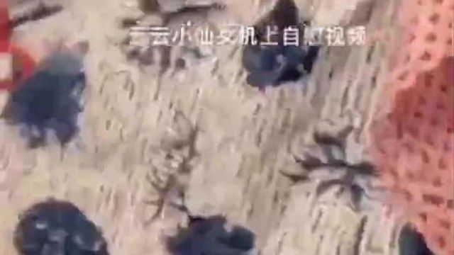 最高の体型を持つネットセレブ女神ゆんゆんの最新Twitter画像と大規模セックスが流出