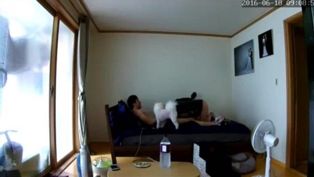 韓国人カップルのリアルなセックス日記。飼い主は犬が手を振ったり叫んだりしながらラブアクション映画を撮影している。