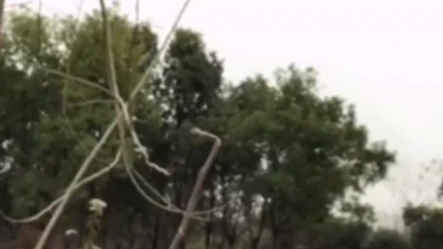 颜值不错身材丰满大奶肥臀女主播第四部 户外脱裤子漏奶漏逼尿尿秀