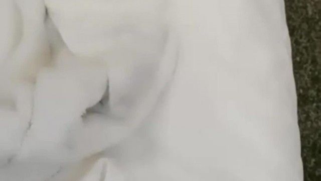 잘생긴 여대생이 용돈 벌고 호텔 생방송에서 슈가대디와 섹스를 한다~