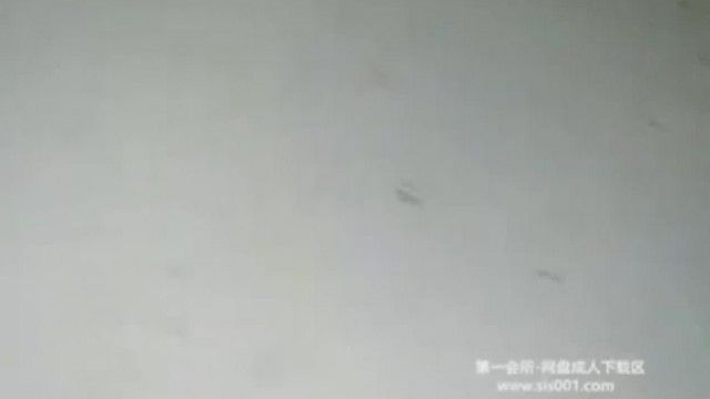 一起來做愛情摩天輪~為了賺流量直播主們手段盡出，特地到遊樂園的摩天輪啪啪～