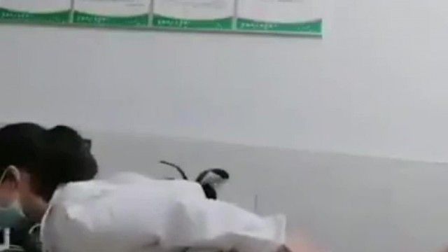 エロティックな緊急治療室。小さな看護師は、オマンコがかゆくなるまで医師の大きなペニスでこすられました〜先生、早くしてください〜患者はまだ外で待っています！