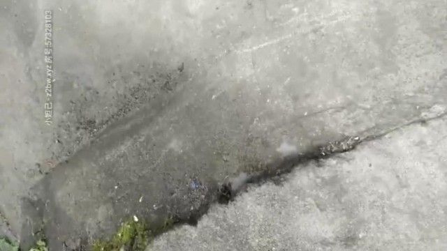 下午扫街路边足浴按摩小店300块 搞了店里的两个身材不错的按摩妹