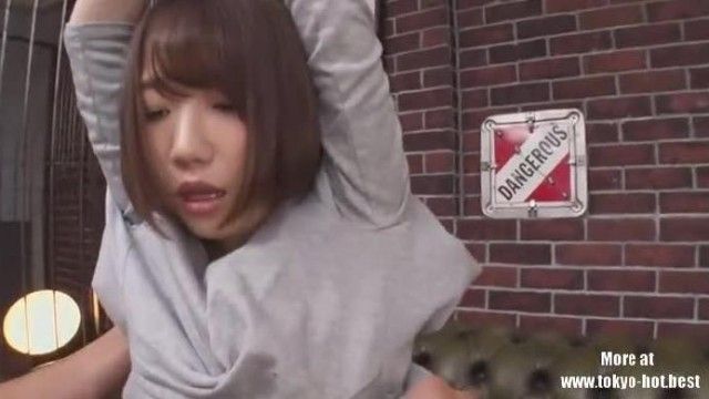 【無修正】ボクの望みをなんでも叶えてくれる従順ペット 菊川みつ葉 パート2