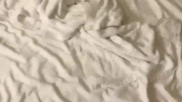 (野战正规军)三男两女多人群P