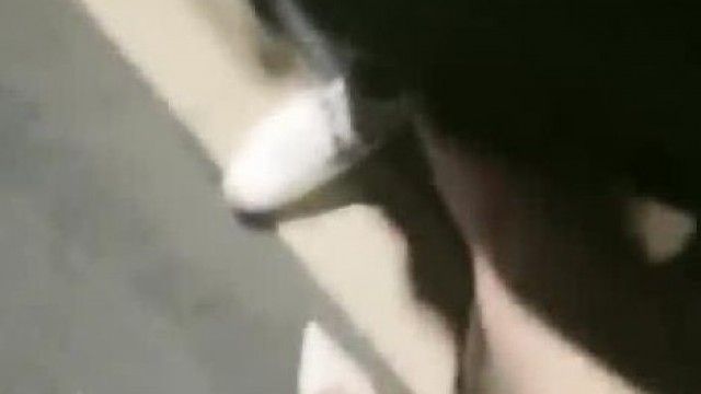 (屋外の小さなミルク猫) 真夜中の車の衝撃