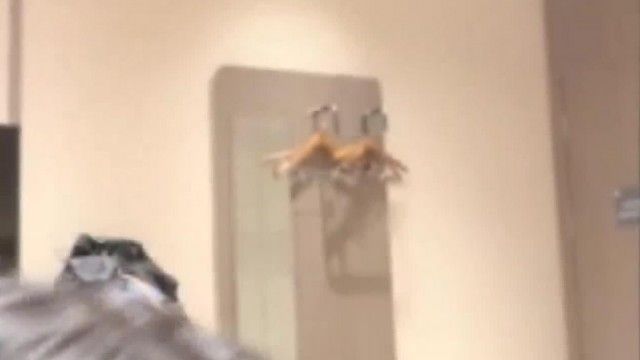 小さなかわいいプラットフォーム (オリジナルのかわいい) 若い女の子ヤクルトとセックス パートナーのセックス ショー、シャワー オーラル セックス、非常に魅力的